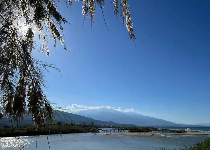 Olympus Family House * Aigani